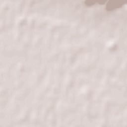 General Enrique Godoy Terrain Map