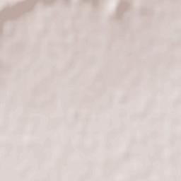 Coronel Belisle Terrain Map