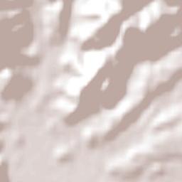 Loncoche Terrain Map