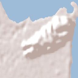 Napier Terrain Map