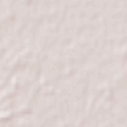 Picún Leufú Terrain Map