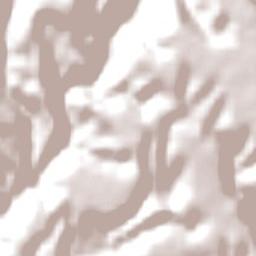 South Taranaki District Terrain Map