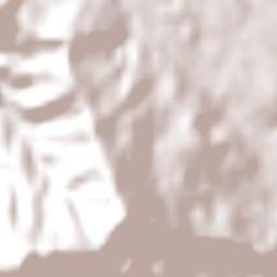 Los Lagos Terrain Map