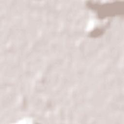 Paillaco Terrain Map