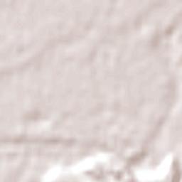 Palmerston North Terrain Map