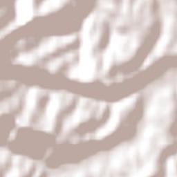 San Juan de la Costa Terrain Map