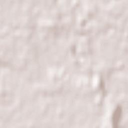 Purranque Terrain Map