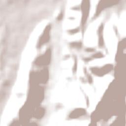 Paraparaumu Terrain Map