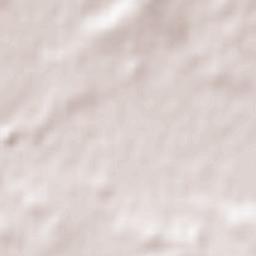 Pilcaniyeu Terrain Map