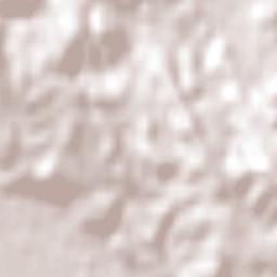 George Town Terrain Map