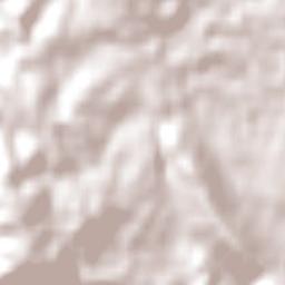 Beaconsfield Terrain Map