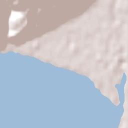 Petone Terrain Map