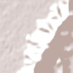 Lower Hutt Terrain Map