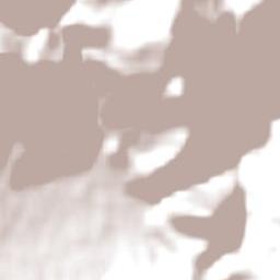 Central Coast Terrain Map