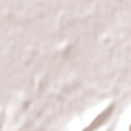 South Wairarapa District Terrain Map