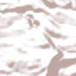 Llanquihue Terrain Map