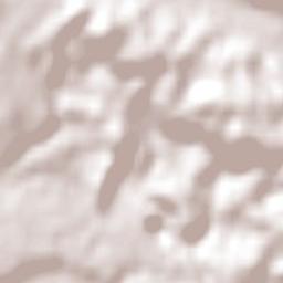 Rocherlea Terrain Map