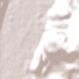 El Bolsón Terrain Map