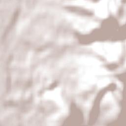 Richmond Terrain Map