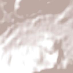 Ranelagh Terrain Map