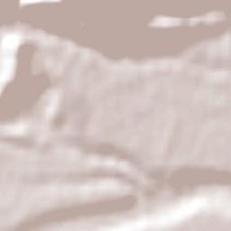 Selwyn District Terrain Map