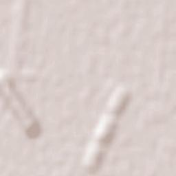 Darfield Terrain Map