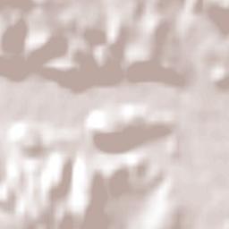 Las Plumas Terrain Map