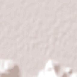 Gobernador Costa Terrain Map