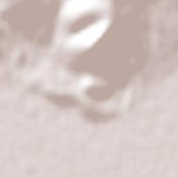 José de San Martín Terrain Map