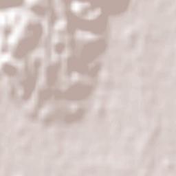 Geraldine Terrain Map