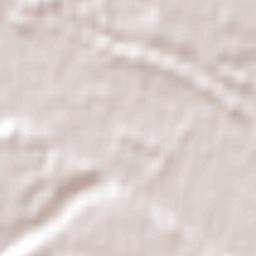 Pleasant Point Terrain Map