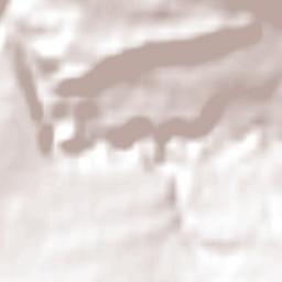 Coyhaique Terrain Map