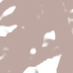 Southland District Terrain Map