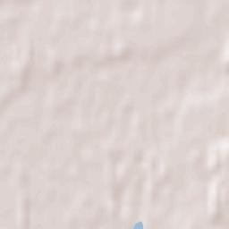 Invercargill Terrain Map