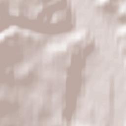 28 de Noviembre Terrain Map