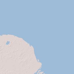 Suriname Terrain Map