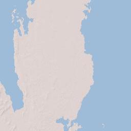 Qatar Terrain Map