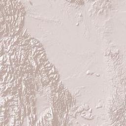 Tamaulipas Terrain Map