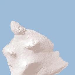 Hawaii Terrain Map