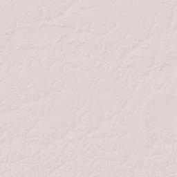 Central River Division Terrain Map