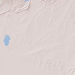 Guárico Terrain Map