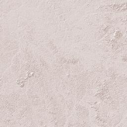 East Berbice-Corentyne Terrain Map