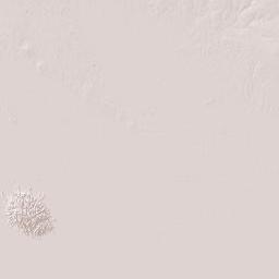 Alto Paraguay Department Terrain Map