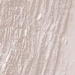 Tarija Department Terrain Map