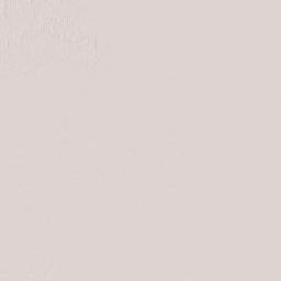 Boquerón Department Terrain Map