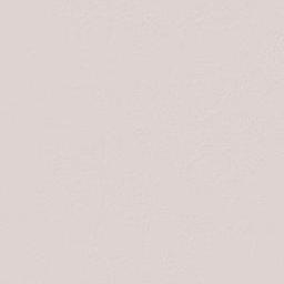 Presidente Hayes Department Terrain Map