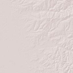 Concepción Department Terrain Map