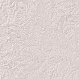 Alto Paraná Department Terrain Map