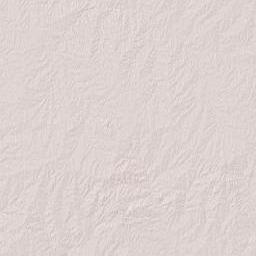 Flores Department Terrain Map