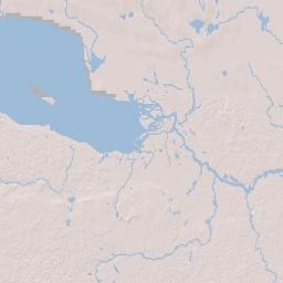 Saint Petersburg Terrain Map